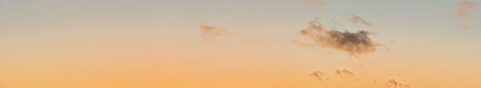 JyvT — Photo