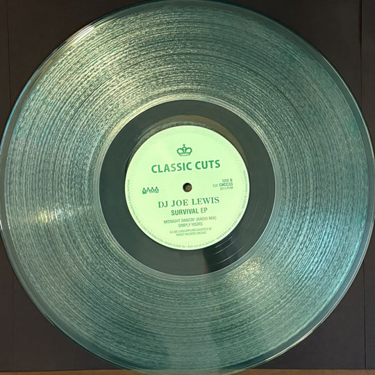 DRED SCOTT EP、シングル Record vinyl 2枚セット DRED SCOTT EP、シングル Record vinyl 2枚セット DRED SCOTT EP