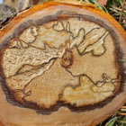 Qi Hong Ernst thumbnail