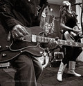 Sarah Borges photo