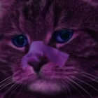 eddy_frey thumbnail