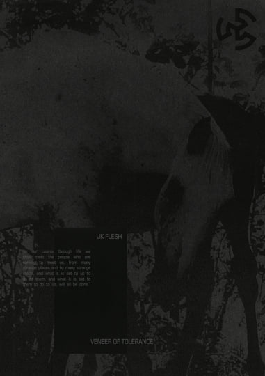 Veneer of Tolerance Remixes | JK Flesh