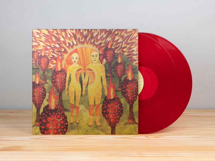 The Sunlandic Twins (20th Anniversary Edition) | of Montreal