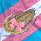 SilurianStar thumbnail