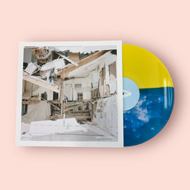 12" Vinyl LP, image 1