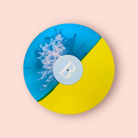 12" Vinyl LP, image 2
