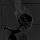 emmamarshmallow thumbnail