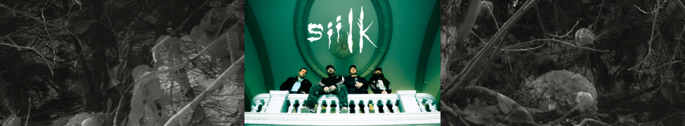 Siilk — Photo