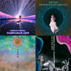 Acid Mothersアシッド/Guru Guruグル/ポンド 二枚組レコード Acid Mothers Temple アシッド/グル/ポンド 二枚組レコード