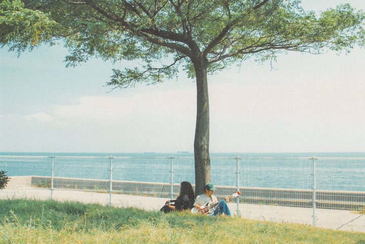 ひまわり絶叫 himawari zekkyo (2022) | ゑでぃまぁこん EDDIE MARCON