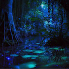 luminousent thumbnail