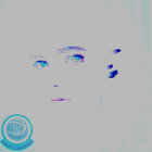 pino2048 thumbnail
