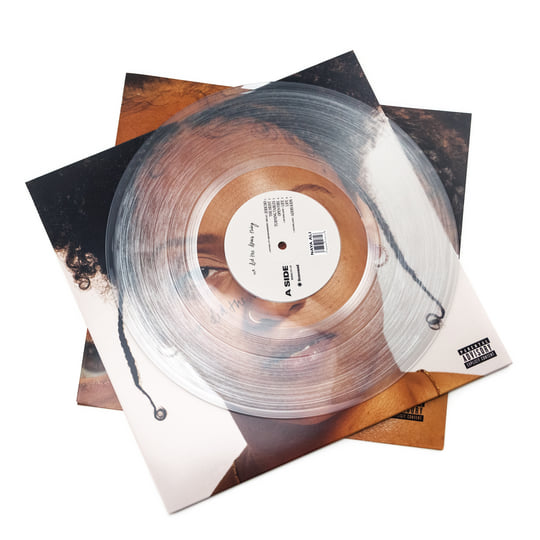 Naya Ali We Did The Damn Thing LP 新品 We Did The Damn Thing | Naya Ali