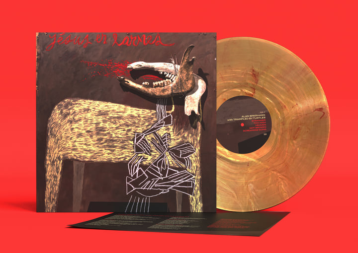 With Trampled by Turtles | Alan Sparhawk