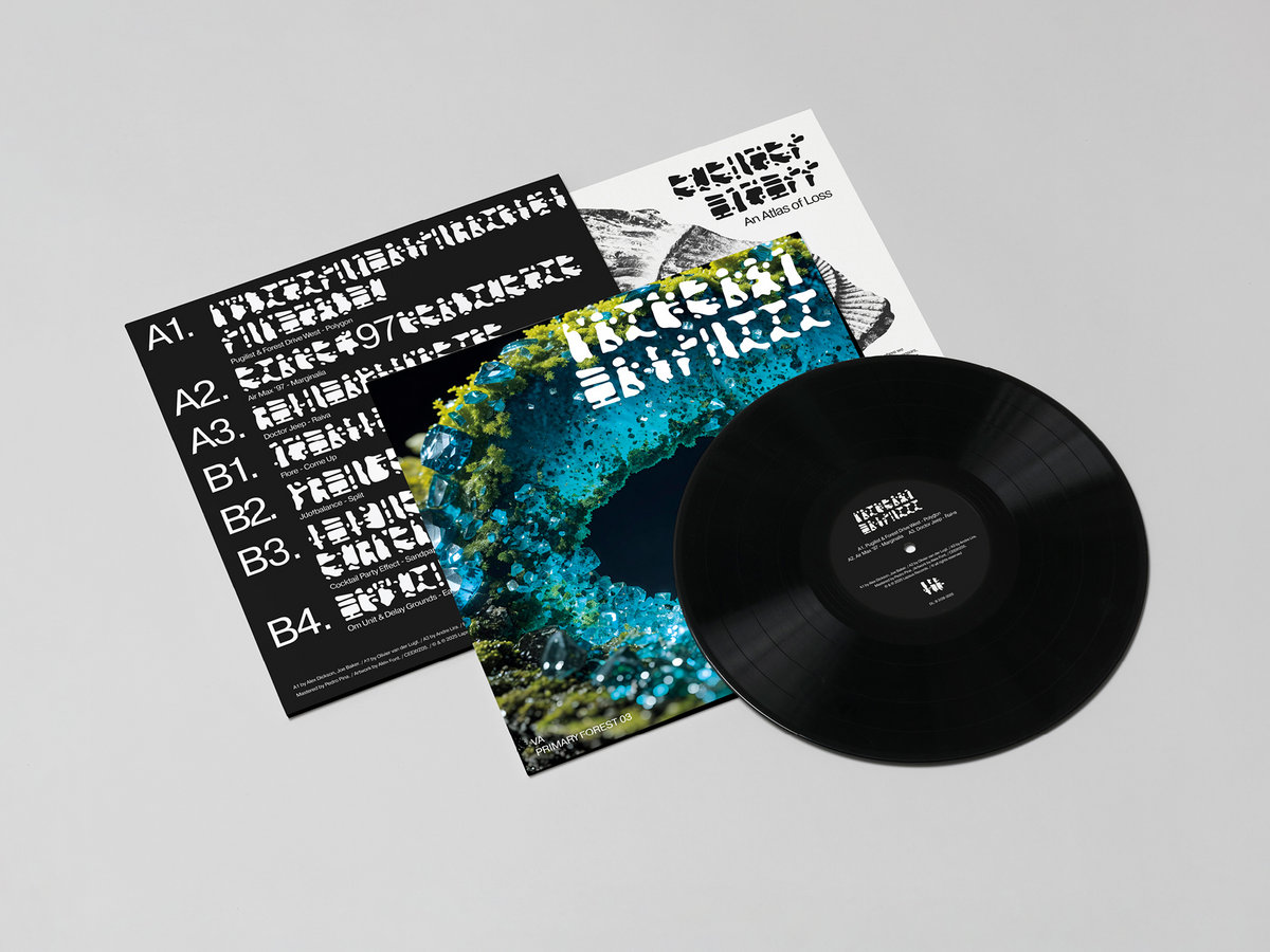 FETUS PRODUCTIONS environmental 原盤LP PRIMARY FOREST 03 | CEE