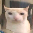 ~~~~~ thumbnail