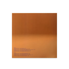 12" Vinyl with Poster, image 3