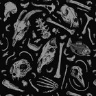 collectionofbones128 thumbnail