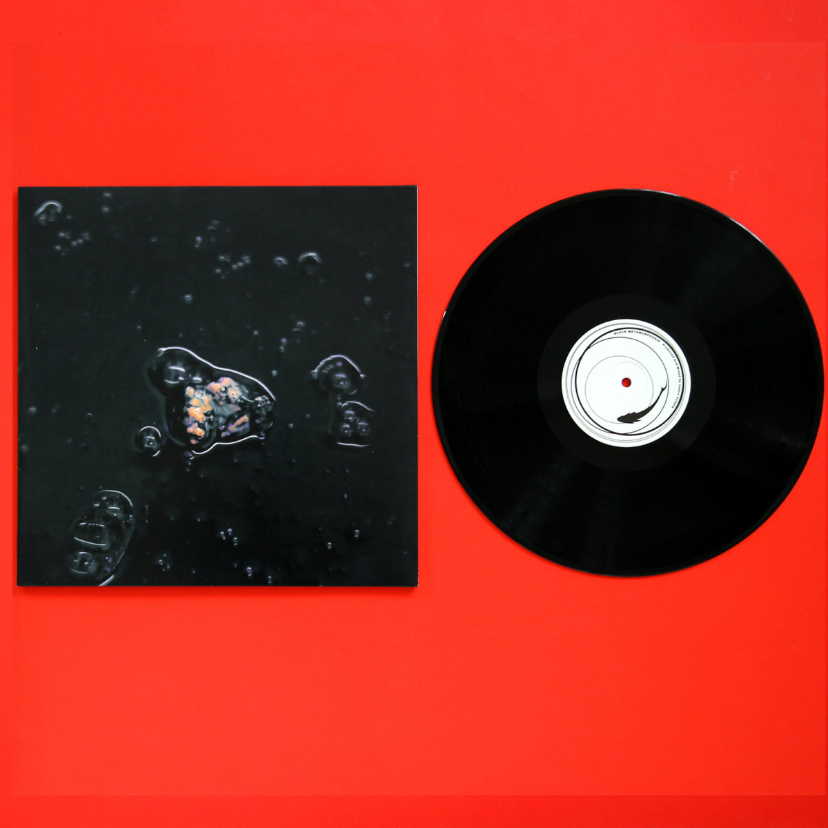 Black Metamorphosis | Lamin Fofana