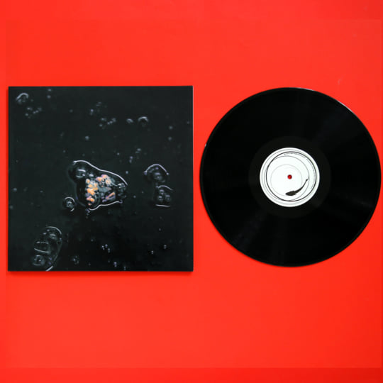 Black Metamorphosis | Lamin Fofana