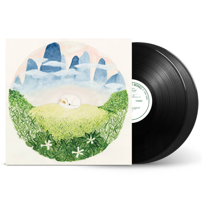 Album art