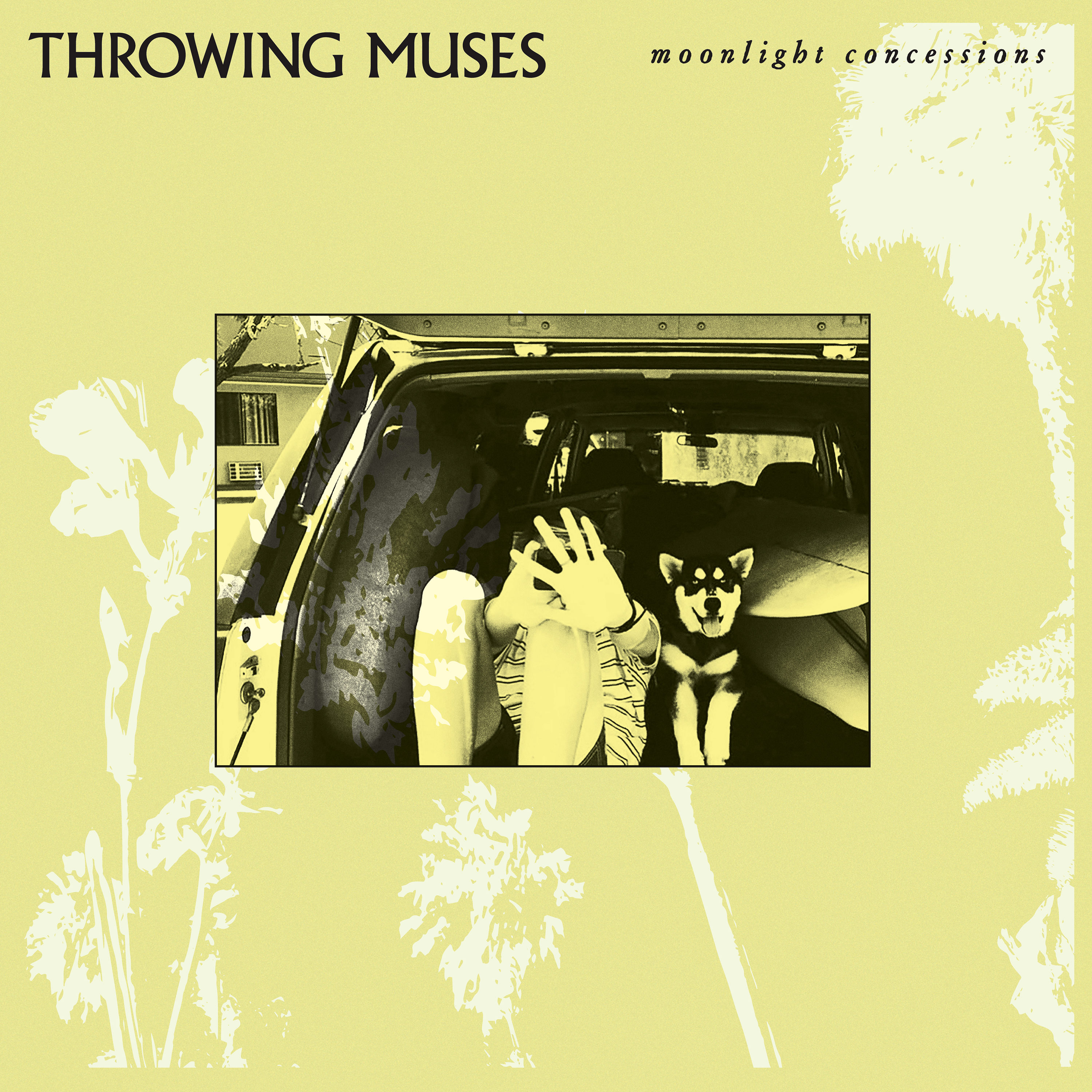 Throwing Muses, “Moonlight Concessions” | Bandcamp Daily