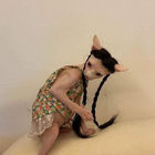 nomi_malone thumbnail