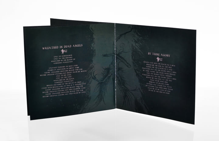 Profanatica ブラックメタル　blackl Wreathed In Dead Angels | PROFANATICA