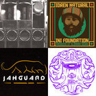 洋楽 Barrington Levy In Dub CD Barrington Levy – Barrington Levy In Dub - The Lost Mixes