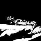 1281702 thumbnail