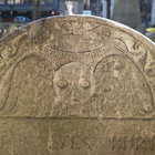 Taphophilic thumbnail
