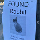 HALF LIFE (2019 PACK) | coaltar of the deepers