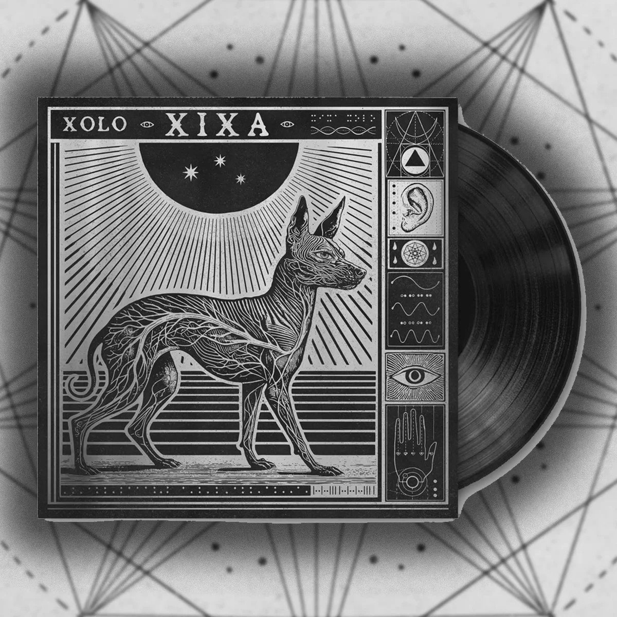 アート・デザイン・音楽 XOLO BY KIKO KOSTADINOV Xolo | XIXA
