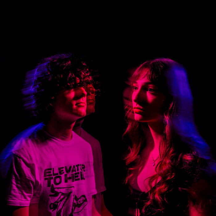 The Orchids | The Orchids