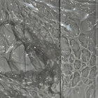 Osmosis | Space Biology | Companion