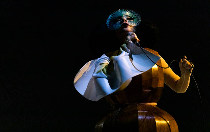 Björk Bastards 限定版レコード Amazon.com: Bastards: CDs & Vinyl
