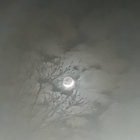 LIWOU thumbnail