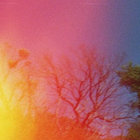 Gordon thumbnail