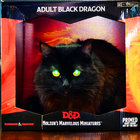 Draoideka thumbnail