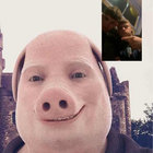 billyeckkk thumbnail