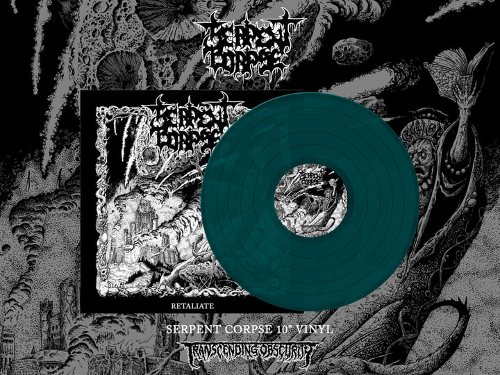 邦楽 Mardelas Snake to Revive 邦楽 Mardelas Snake to Revive Snake