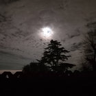 watchingautumneye thumbnail