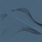 Thomas Meidell  thumbnail