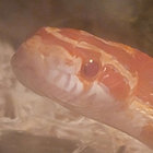 Spayne_the_snake thumbnail