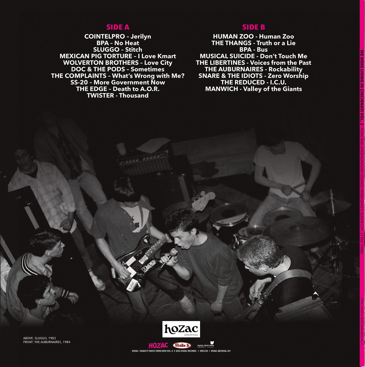 洋楽 GOT THE GO!!! VOL.2 LP GARAGE PUNK 洋楽 GOT THE GO!!! VOL.2 LP GARAGE PUNK Punk Goes 90's, Vol