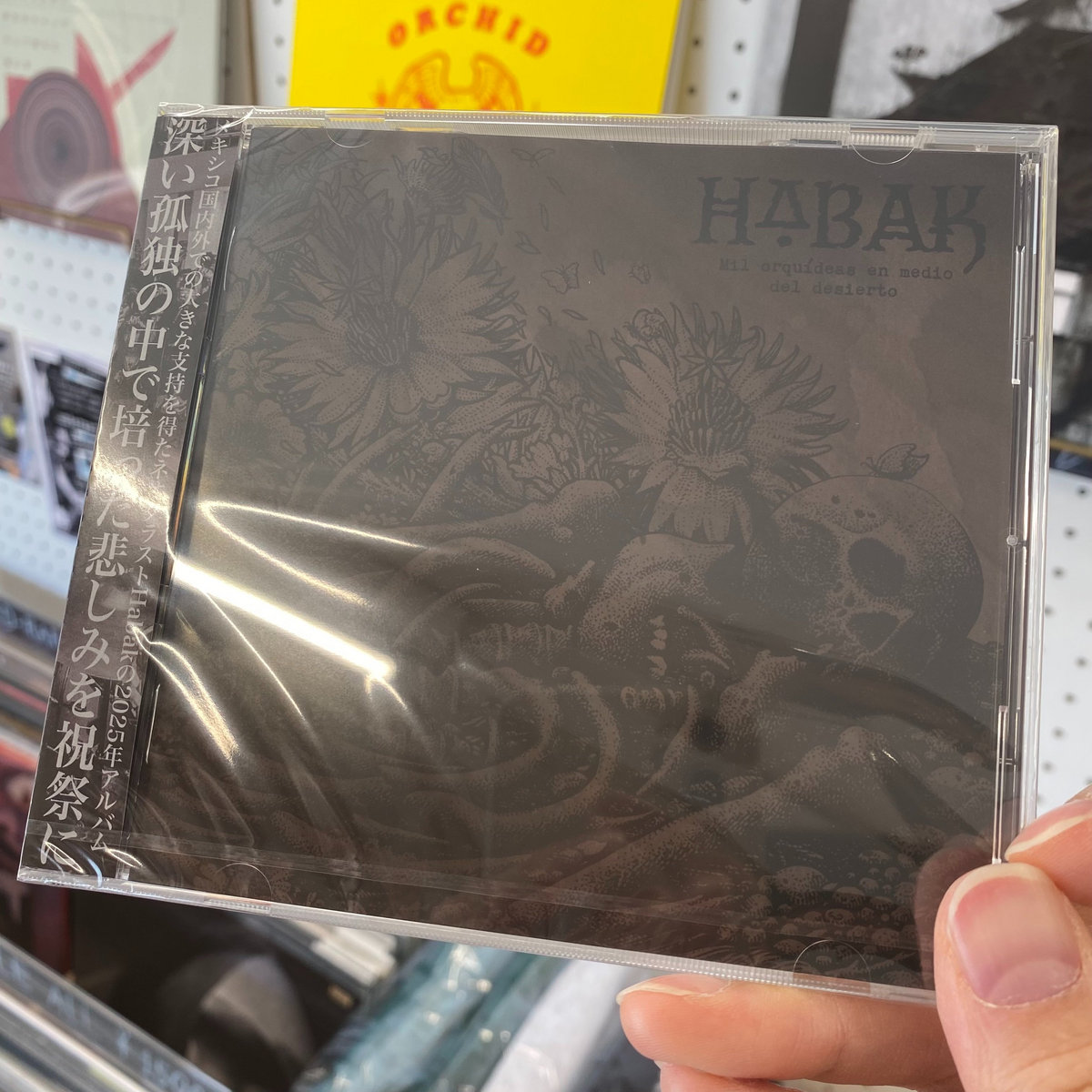 Mil orquídeas en medio del desierto / 砂漠の中心に咲く千の蘭