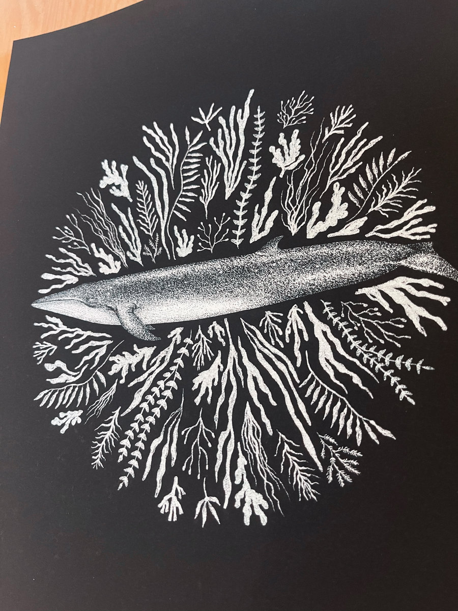 Kujira / Parity [CKRA051] | Mystic State & Truth | the