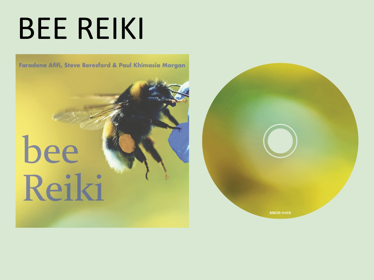 Bbee Reki Bee Reiki - 173CD (2024) | Faradena Afifi, Steve Beresford & Paul ...