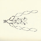 brnscat thumbnail