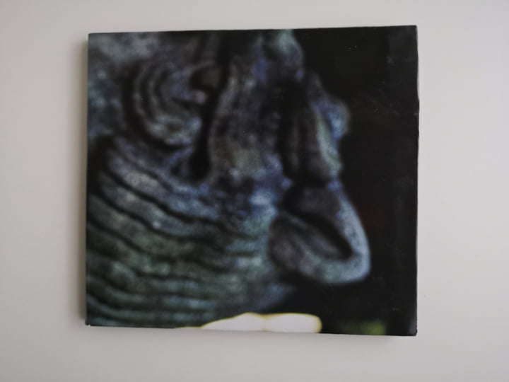 洋楽 Carcinosi Maurizio Bianchi M.B. Handmade editions | Maurizio Bianchi / M. B.